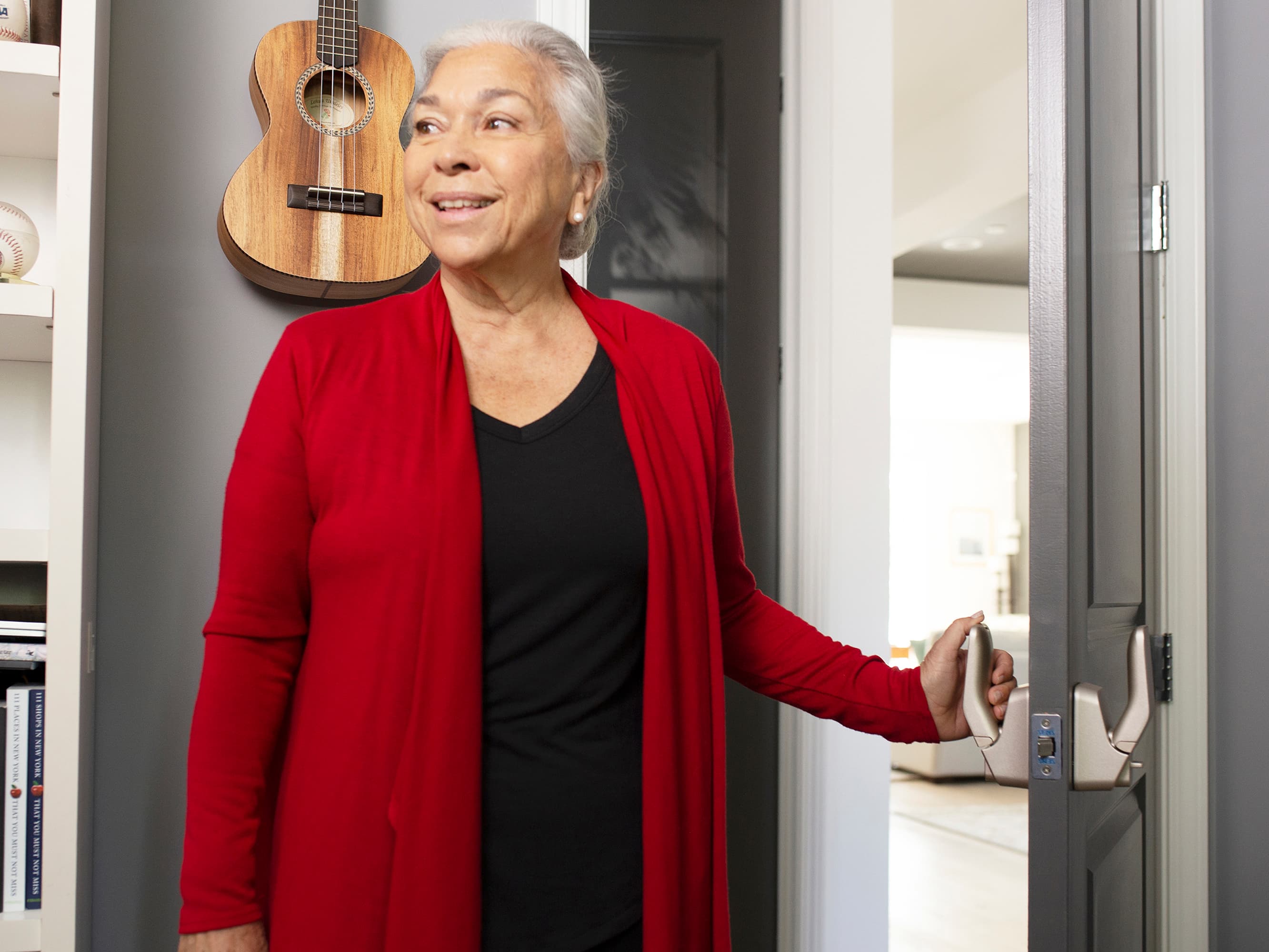 Mechanical Accessibility Lock System