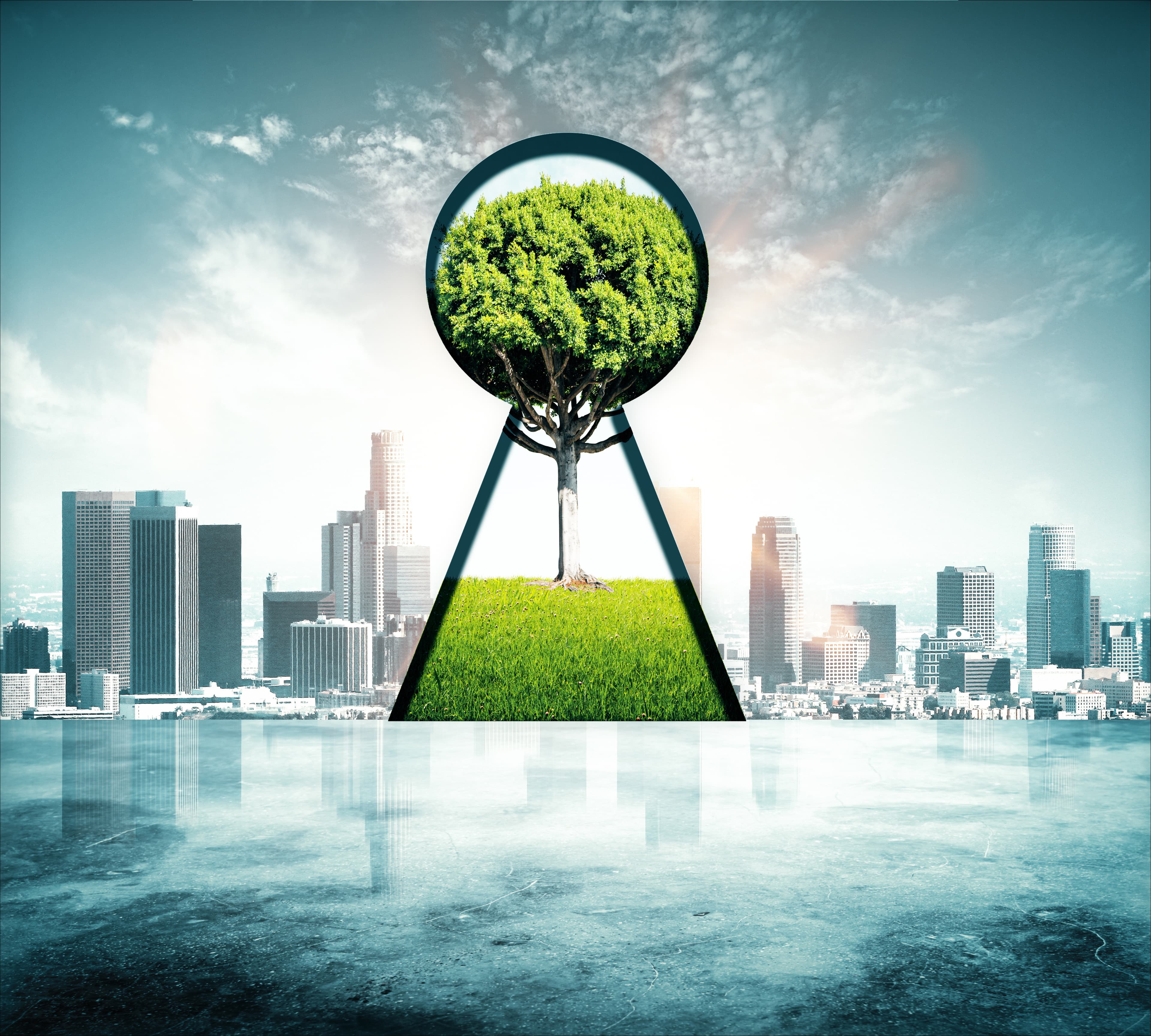 Sustainability Banner