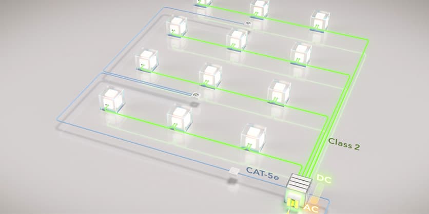 Unified Intelligent Ecosystems